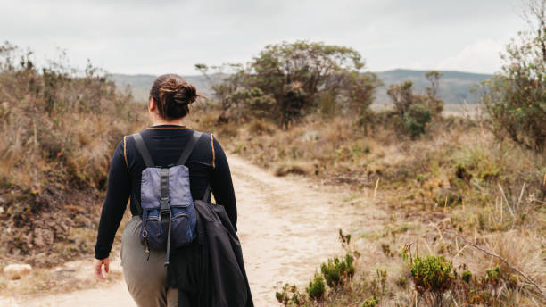 istock Solo Trekker on the Paths of the Colombian Paramo 2071324452