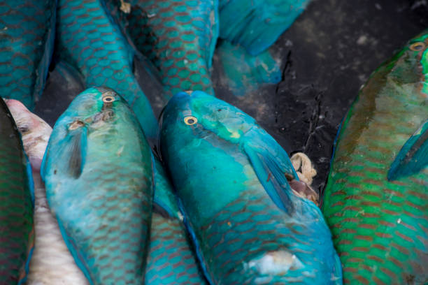 Fresh Seafood Delights at the Fishmonger's Stall