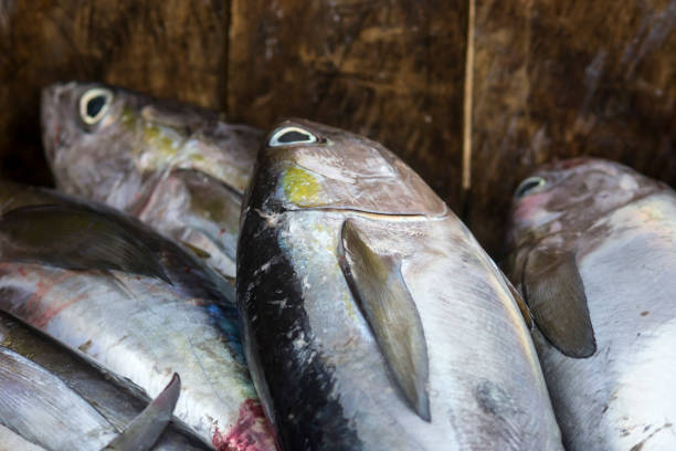 istock Fresh Seafood Delights at the Fishmonger's Stall 2071366857