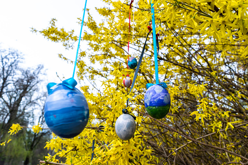 Painted Easter eggs decorate the branches of a bush blooming with yellow spring flowers. Springtime landscape.