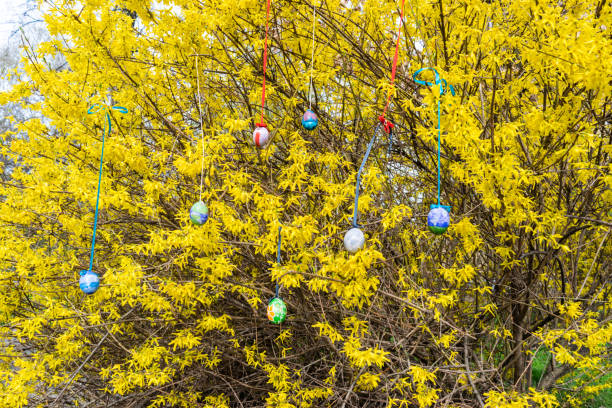 A leafless tree decorated with numerous vibrant Easter eggs hanging from its branches against a bright blue sky. The colorful ornaments create a festive and cheerful atmosphere, symbolizing the joy of Easter celebrations. The contrast between the bare branches and the vivid decorations adds visual interest.