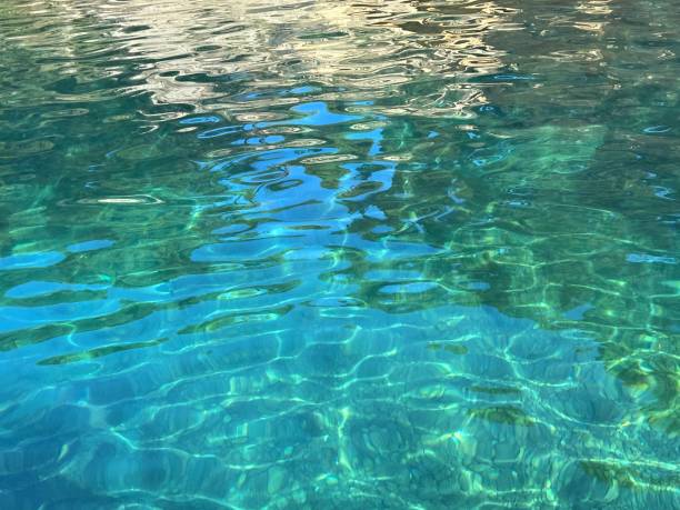 istock Turquoise green clear sea water with pebbles on seabed 2071468797