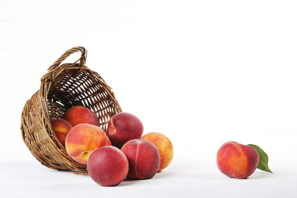 A woven basket on asphalt filled with lavender, a whole watermelon, a watermelon half, melon, grapes, and yellow chili pepper, photographed from above.
