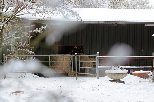 Background image of a horse farm in winter in northern Germany