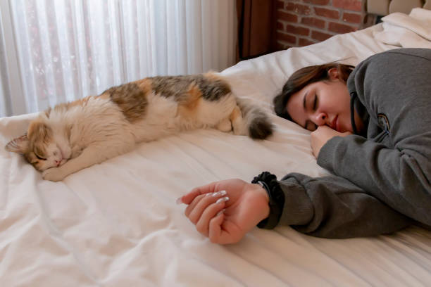 istock Young woman sleeping on the bed and her cat sleeping next to her. Connection concept. 2071543344