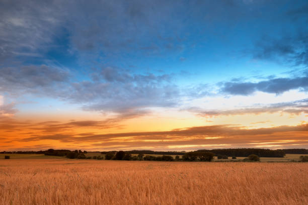 istock Sunset in the countryside 2071555440