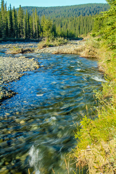 istock Waiprous Creek flows through the North Ghost, North Ghost Provincial Recreation Area 2071565400