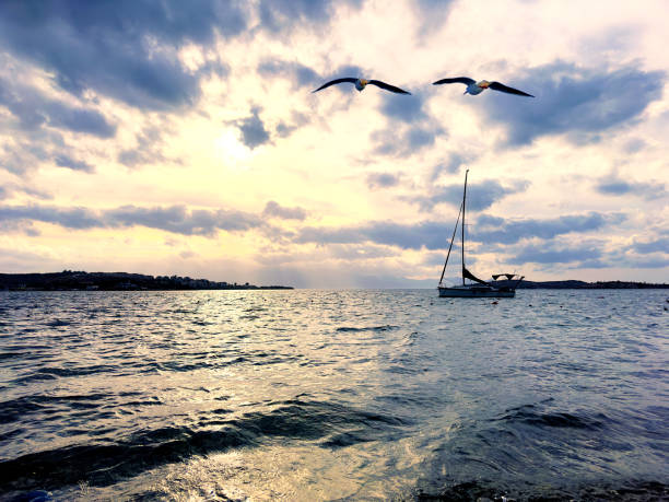 Sailing sailboat during sunset over cloudy sky in Foca, Izmir