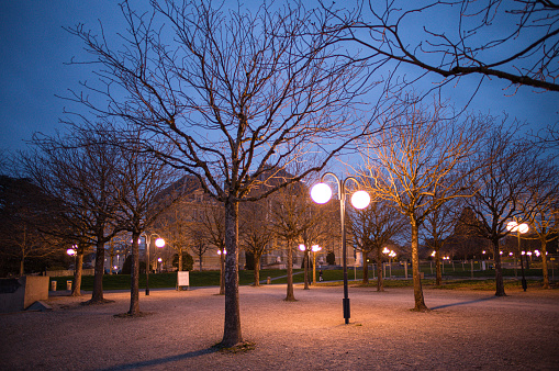 Trees of the Monbenon Park in Lausanne at sunset