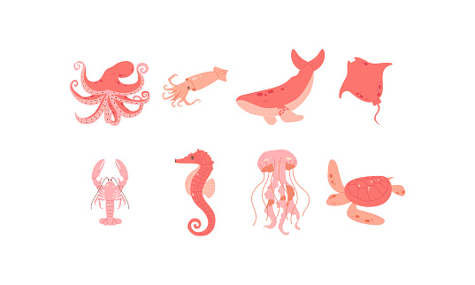 Set of cute vector illustrations of underwater inhabitants. Turtle, jellyfish, squid, whale, stingray, seahorse, lobster