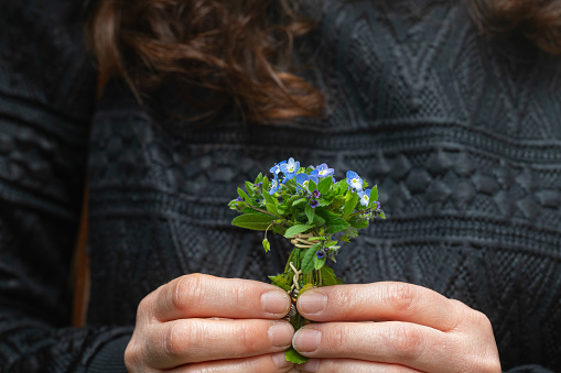 Woman holding a bouquet of small wildflowers in blue. Veronica polita.
