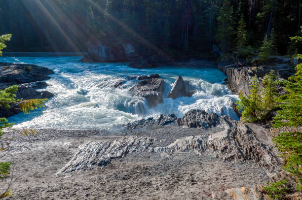 River scene in the Canadian rockies