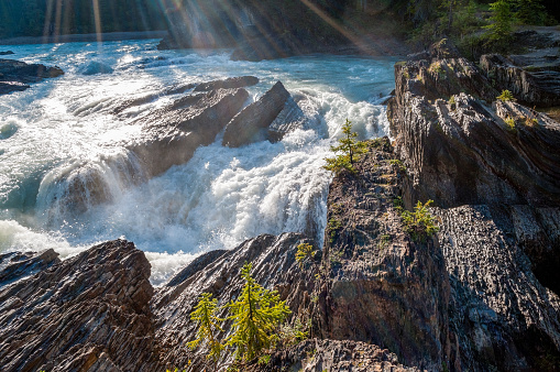 River scene in the Canadian rockies