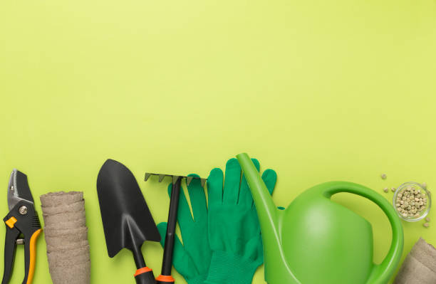 istock Green gardening tools on color background, top view 2071763390