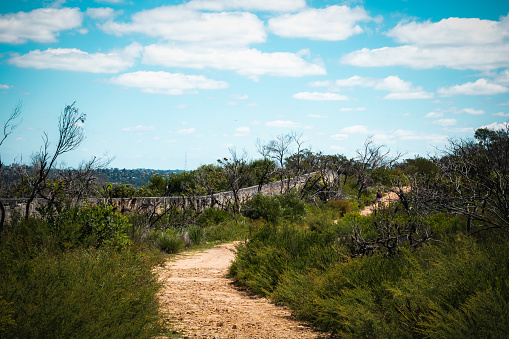 A nature refuge, bordered by dramatic cliffs, North Head Sanctuary, Manly, is located on the peninsula at the northern entrance to Sydney Harbour.