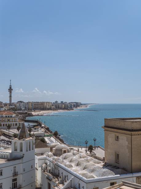 widok na plażę playa santa maría del mar w kadyksie z wieży katedry - christianity cadiz spain old town zdjęcia i obrazy z banku zdjęć