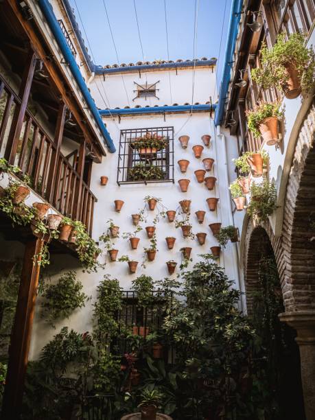 istock Typical courtyard patio in Cordoba, Spain 2071774193