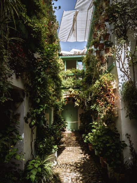 istock Typical courtyard patio in Cordoba, Spain 2071774706