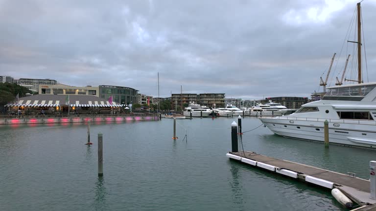 Viaduct Harbour marina in Downtown Auckland, New Zealand at dusk