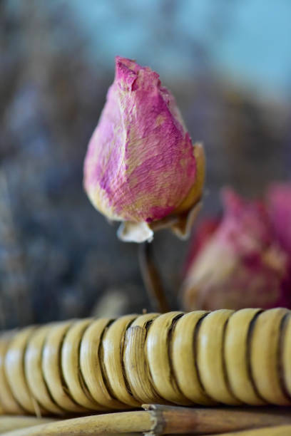 Close-up of a bowl filled with dried pink rose buds sold at a Turkish market, used for herbal tea and natural aroma.
