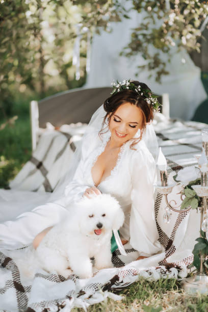 young elegant bride in a white dress with a tiara of fresh flowers on her head posing in the garden with her poodle dog - valentines day dog 20s young animal стоковые фото и изображения