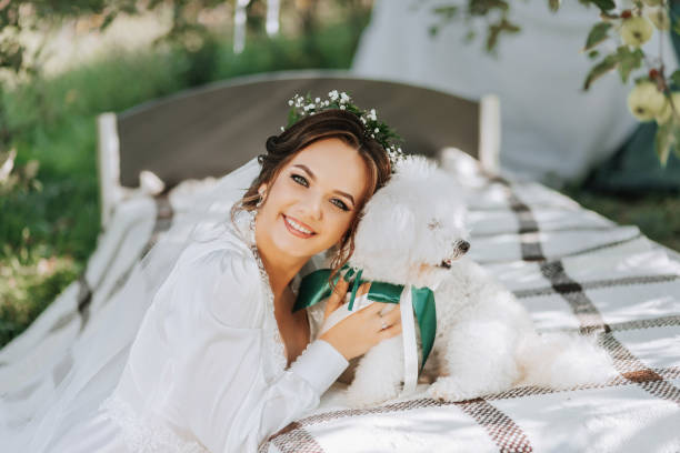 young elegant bride in a white dress with a tiara of fresh flowers on her head posing in the garden with her poodle dog - valentines day dog 20s young animal стоковые фото и изображения