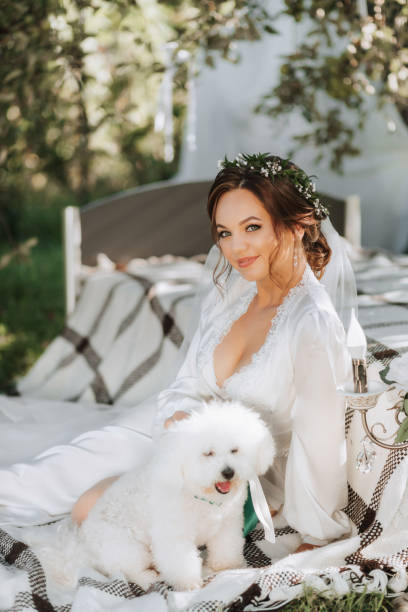 young elegant bride in a white dress with a tiara of fresh flowers on her head posing in the garden with her poodle dog - valentines day dog 20s young animal стоковые фото и изображения