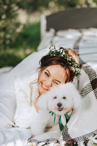 young elegant bride in a white dress with a tiara of fresh flowers on her head posing in the garden with her poodle dog - valentines day dog 20s young animal стоковые фото и изображения