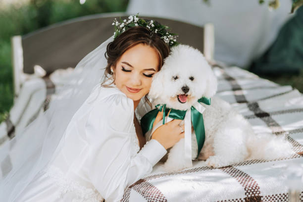 young elegant bride in a white dress with a tiara of fresh flowers on her head posing in the garden with her poodle dog - valentines day dog 20s young animal стоковые фото и изображения