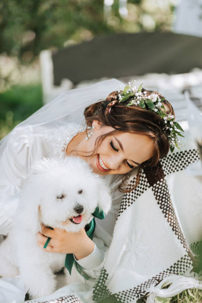 young elegant bride in a white dress with a tiara of fresh flowers on her head posing in the garden with her poodle dog - valentines day dog 20s young animal стоковые фото и изображения