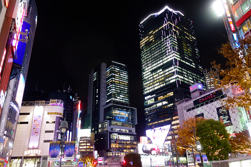 An urban and traditional landmark near the Shibuya Scramble Crossing in Tokyo.