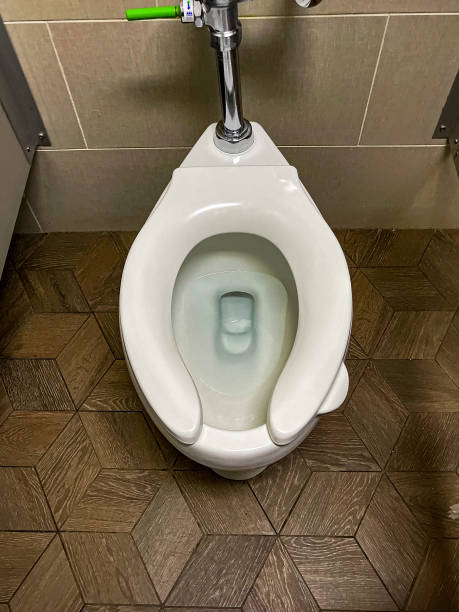 istock Clean public toilet 2072130015