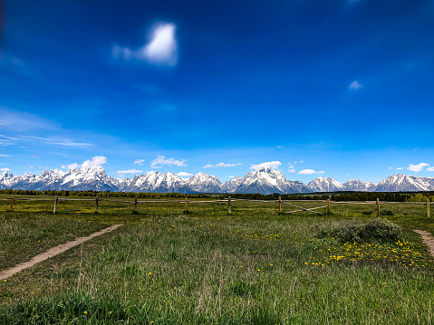 The Grand Teton Mountains covered in snow in June