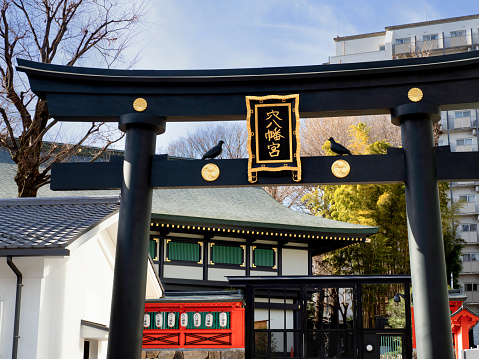 Anahachiman Shrine is known for its Ichiyōraifuku amulet. Photographed on January 19, 2024 in Minato-Shinjuku Ward, Tokyo.