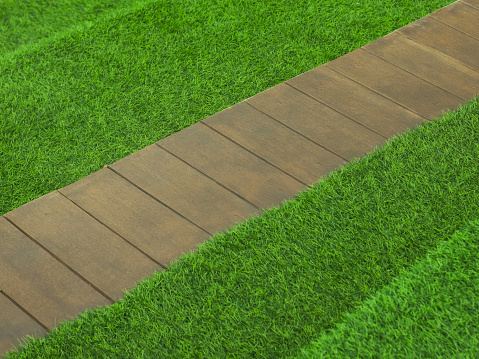 Grass field background and a natural wooden plank.