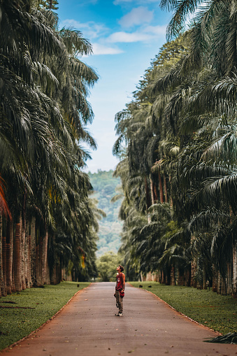 Young man exploring palm alley at Royal Botanical Gardens in Kandy,  Sri Lanka.
