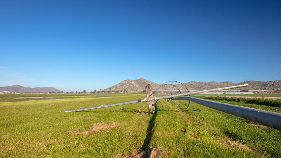 Water wheel irrigation equipment in cut and raked alfalfa field seen from aerial viewpoint in Menifee southern California United States