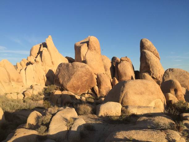 istock Joshua Tree National Park, California 2072383250