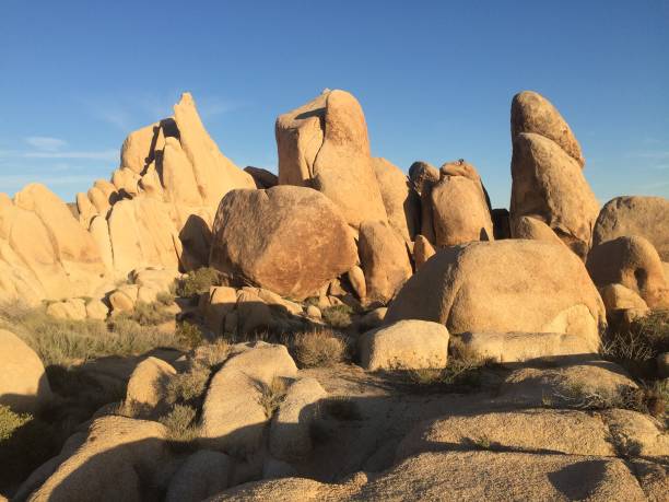 istock Joshua Tree National Park, California 2072388004