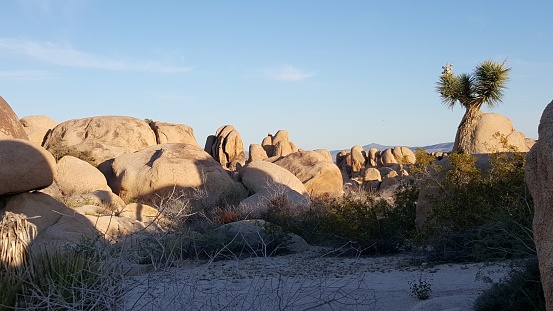 This is a wide angle photograph of a small tent setup at the Jumbo Rocks Campground in Joshua Tree National Park in the Mojave Desert, California.