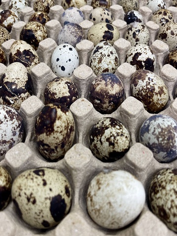 quail eggs in the tray for sale in the market stall