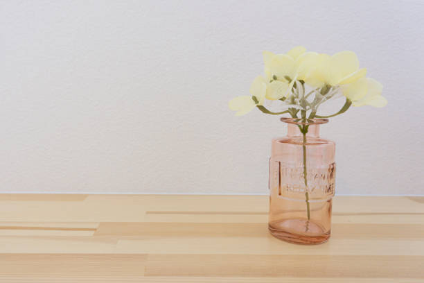 Vertical image of a group of beautiful purple and white orchids planted in a vase for a beautiful and refreshing home decoration.