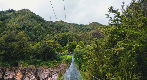 Witness the exhilarating Buller Gorge Swingbridge in the South Island of New Zealand, an iconic adventure spot surrounded by breathtaking natural scenery. Unforgettable adrenaline awaits.