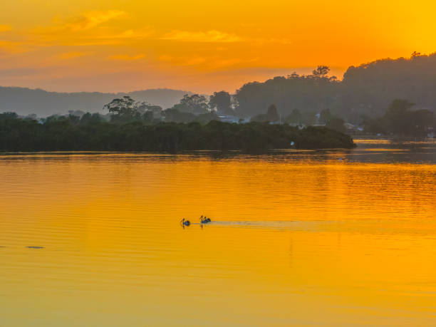 istock Sunrise along the waterfront with reflections on the bay water 2072521639