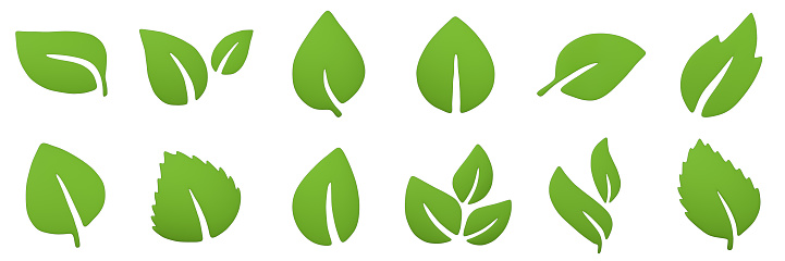 cartoon set of green leaves on a white background 3d rendering.