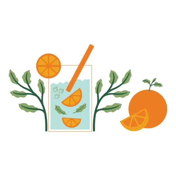 Vector illustration of Orange mint with leaves and fruits. Vector illustration in flat style with drink theme. Editable vector illustration.