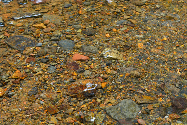 Wet stones in a lake
