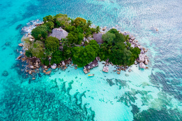 istock Drone view from above at a tropical beach in the Seychelles, Anse Volbert beach Praslin 2072607219