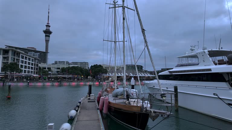 Viaduct Harbour marina in Downtown Auckland, New Zealand at dusk