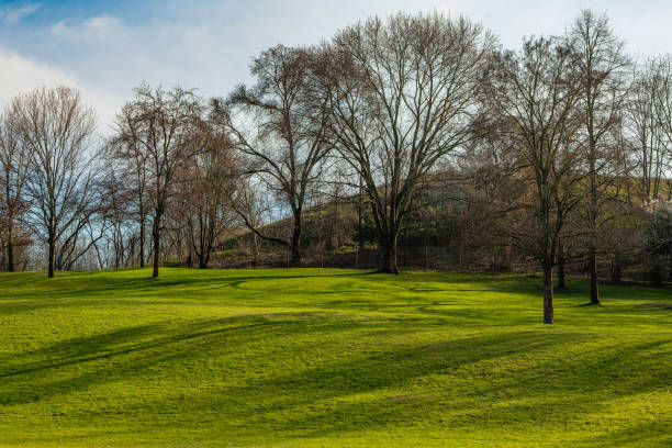 istock field of grass with trees in the background 2072665658